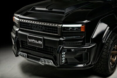 250 ランドクルーザー GDJ250W / TRJ250W 2024.4- フロントスポイラー用LEDランプ