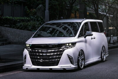 40 アルファード GRACE LINE フロントハーフスポイラー AES製 202 塗分け塗装済品 取付込