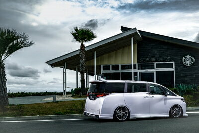 40 ヴェルファイア GRACE LINE サイドステップ ABS製 グロスブラック 取付込