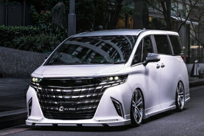 40 アルファード GRACE LINE フロント サイド リア セット AES製 マフラーレス用 202 塗分け塗装済品 ..