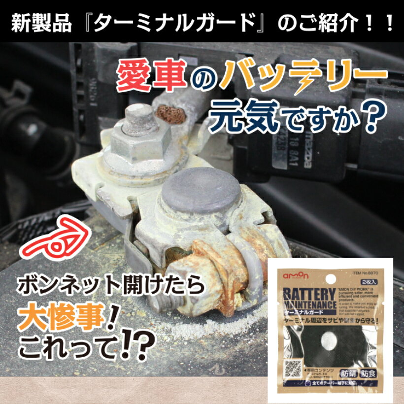 8870 �����ߥʥ륬���� ������ҥ������ amon