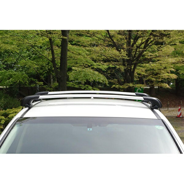 TERZO AERO BAR �ƥ�åĥ� ������ �С� ����С� EB68A |�����ѡ��� �������� ��ư���� ���� �������������꡼ ��������ꥢ �롼�եܥå��� �������ޥ͡����������� �������С�