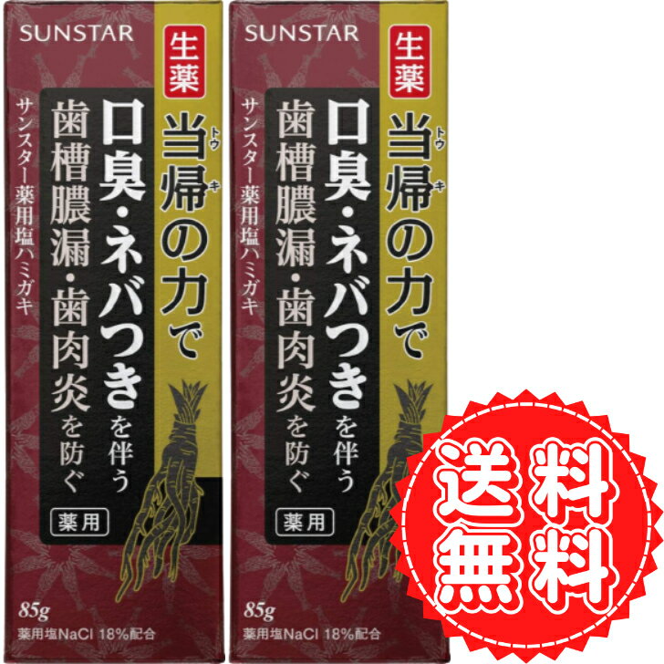 歯磨き粉 虫歯 薬用塩ハミガキ 当帰の力 生薬 トウキ ハグキケア 歯周病 歯槽膿漏 歯肉炎 ハグキのハレ 出血 口臭 予防 歯 匂い サンスター スパイシーミント 85g ×2個