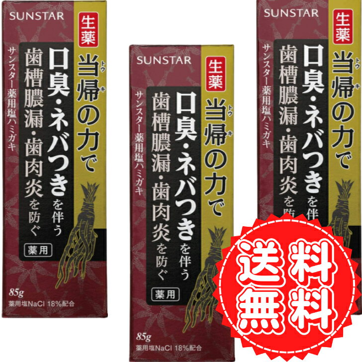 歯磨き粉 虫歯 薬用塩ハミガキ 当帰の力 生薬 トウキ ハグキケア 歯周病 歯槽膿漏 歯肉炎 ハグキのハレ 出血 口臭 予防 歯 匂い サンスター スパイシーミント 85g ×3個