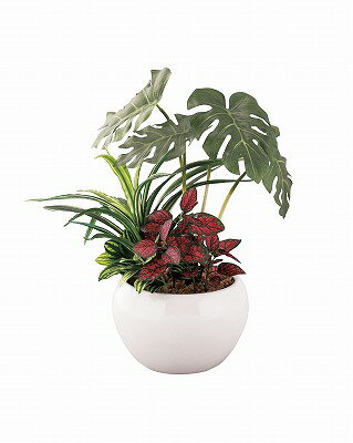 SC触媒加工 トロピカル寄せ植えポットモンステラ（フェイクグリーン） FG1000 ●のし・包装不可