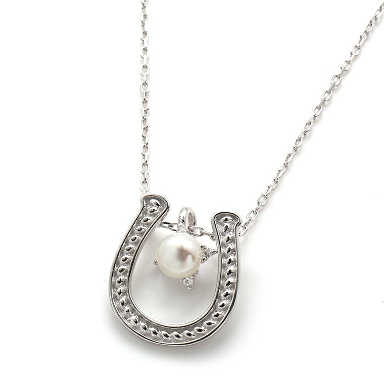 シルバー ネックレス&ペンダント 40cm-46cm ABGP01374