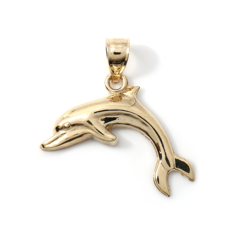 10K イエローゴールド ペンダント LCNCSLM-42