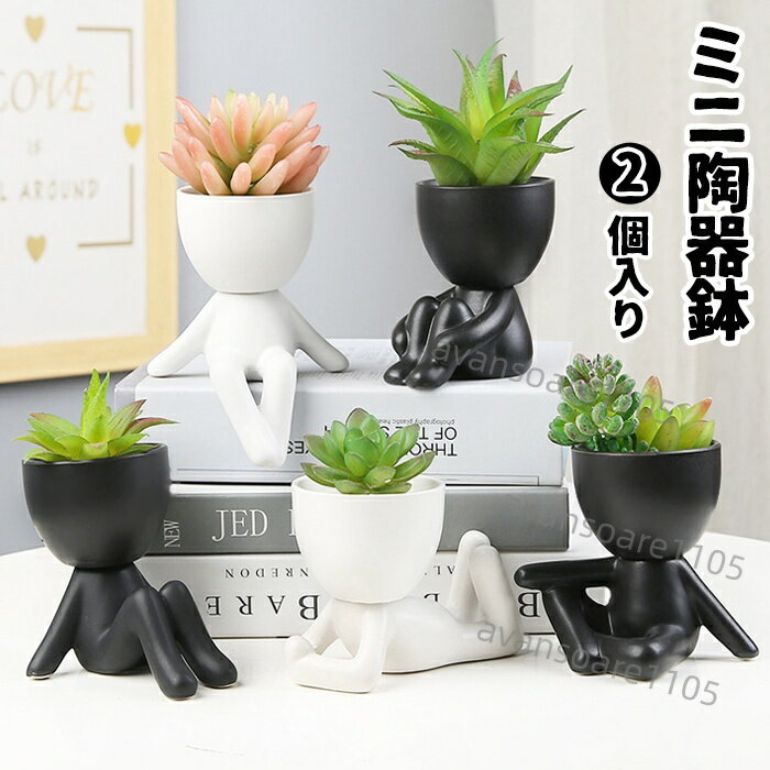 植木鉢陶器3号2個セット陶器鉢セラ...