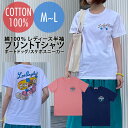 新商品【婦人トップス】【レディースTシャツ】《M・Lサイズ》レディース半袖プリントTシャツ スケボースニーカー222CF2ST029 ボードドッグ222SU2S...