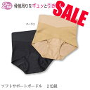 在庫限りセール1枚あたり495円【レディースインナー】DC113ヒップアップ骨盤補整ガードル 2色組 fs154x2-8833▼婦人下着 ミセス