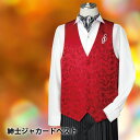 新商品【ステージ衣装】メンズファッション 紳士ジャカードベスト cn-ve001_3297 ▼フォーマル ステージ カラオケ 舞台 社交ダンス 衣装 パーティー...