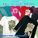 ▼【新商品】【単品ポストにお届け代引き不可】訳あり!返品不可《M~3Lサイズ》フラTシャツ