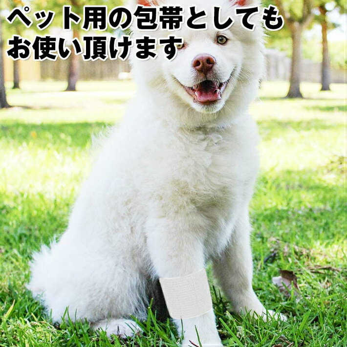 ����Ǵ���� �������� �������� 4.8cm x 4.5m �ơ��ԥ� ����ˤ��� ����ڤ�� �ۥ磻�� ��