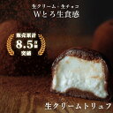 【累計販売8.5万個】 生クリームトリュフ 単品 生チョコ 生クリーム ホワイトデー 2025 プレゼント ギフト プチギフト 贈り物 送料無料 生チョコトリュ...