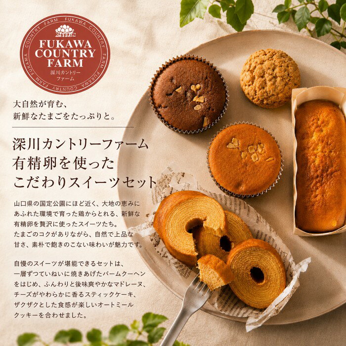 内祝いギフト専門店コウノトリの【ポイント5倍】深川カントリーファーム 有精卵を使ったこだわりスイーツセット 焼き菓子セット【出産内祝い 内祝い お祝い お祝い返し ギフト】【出産祝い お返し 返礼 結婚内祝い 新築内祝い 快気祝い】【洋菓子 スイーツ お菓子 人気 焼き菓子】【送料無料 送料込み】｜アングル2