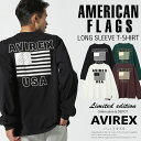 AVIREX ʔ́bsWEB&DEPOTtAMERICAN FLAGS L/S T-SHIRT / AJ tbOX  TVc (ArbNX ABbNX)Y j