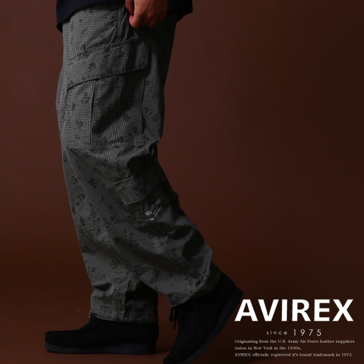 ★SALE｜AVIREX 公式通販｜《COLLECTION》AIR NATIONAL GUARD 8