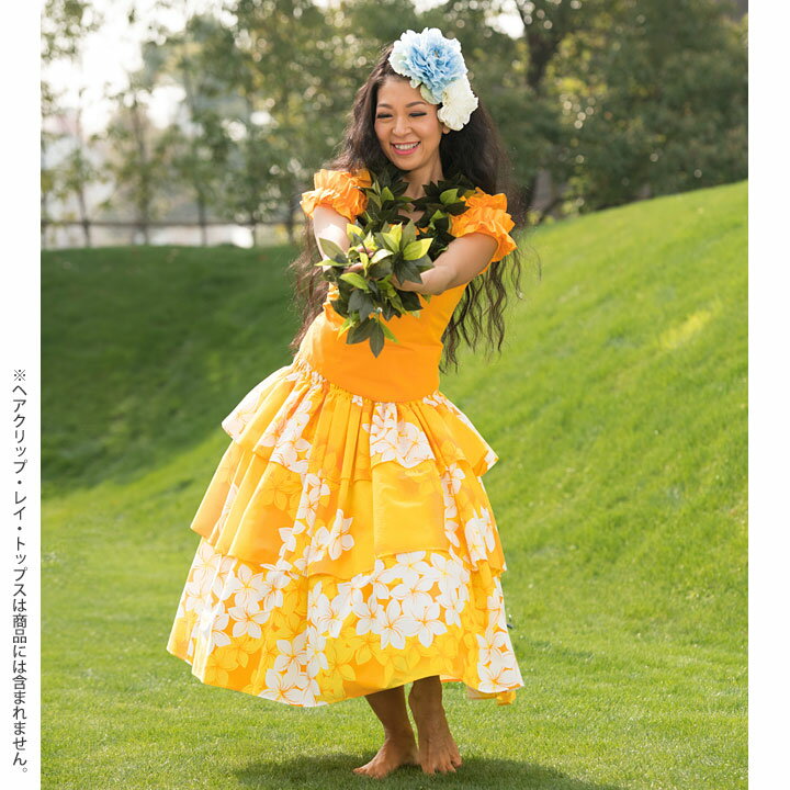 ¨Ǽ�� 3�ʥե��ѥ��������� [SK531-2-3243] �ե���� �ե���󥹰��� �ե� �ե����ƥ��Х� ���ơ������� �ѡ����� �ѥ� �ѥ��������� �������� ���� ��å��� ȯɽ�� ����ƥ��� ���٥�� ���ơ��� �ե�� �������� ���� �ϥ磻����