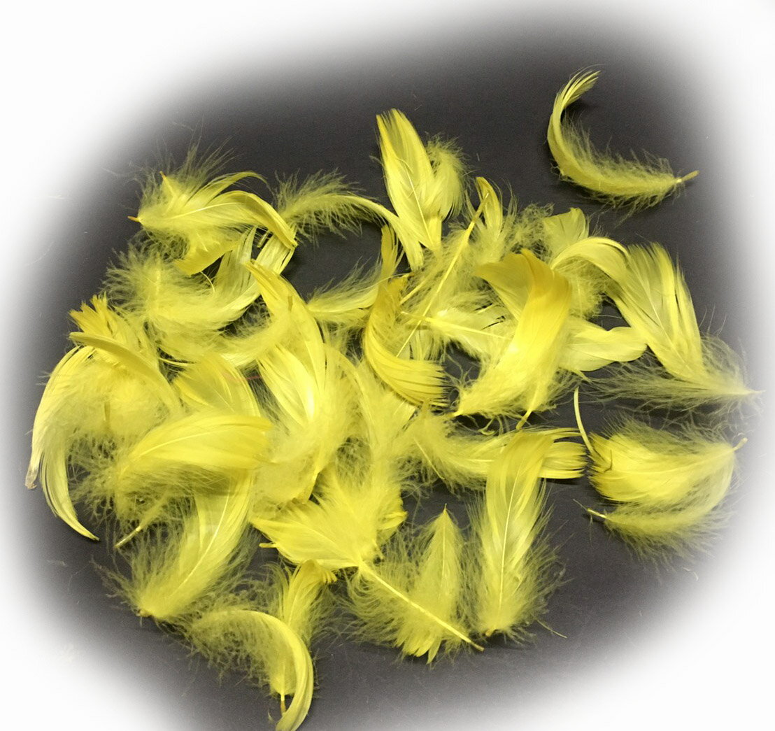 楽天市場】kokage wingの通販