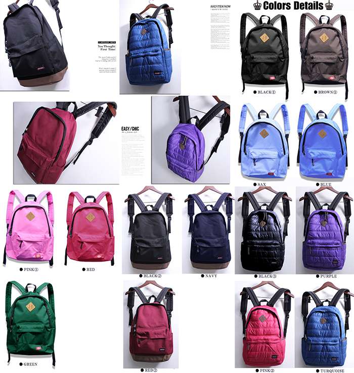 Dickies リュック ディッキーズ メンズ バッグ 2way リュック キャンバスリュック バック カバン バックパック ブラック 黒 赤 茶 青 緑 紫 旅行 男女兼用 人気 鞄 2025