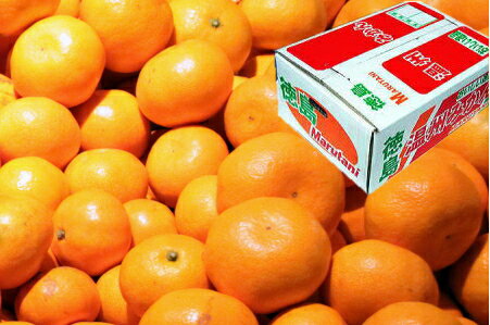 阿波みかん5k箱 Lサイズ