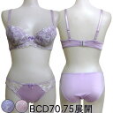 花柄チュールレースブラジャー＆ショーツ【メール便送料無料】 (B70/B75/C70/C75/D70/D75） 下着 セット ブラセット ブラ 女性 レディース ブラショー