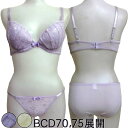 オーバーレースがフェミニンな印象のブラジャー&ショーツセット (B70/B75/C70/C75/D70/D75) 下着 セット ブラセット ブラ 女性 レディー...