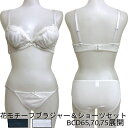 花モチーフ ブラジャー & ショーツ セット (B65/B70/B75/C65/C70/C75/D65/D70/D75) 下着 セット ブラセット ブラ 女性 ...