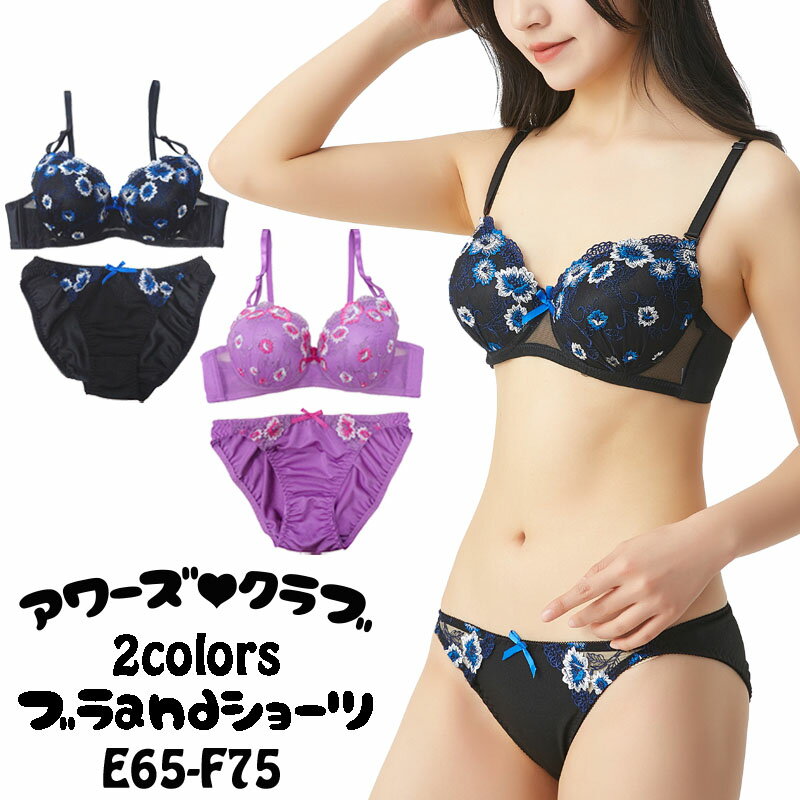 ブラジャー＆ショーツセット ブラジャー ショーツ セット ブラ 大きいサイズ (E65,E70,E75,F65,F70,F75..