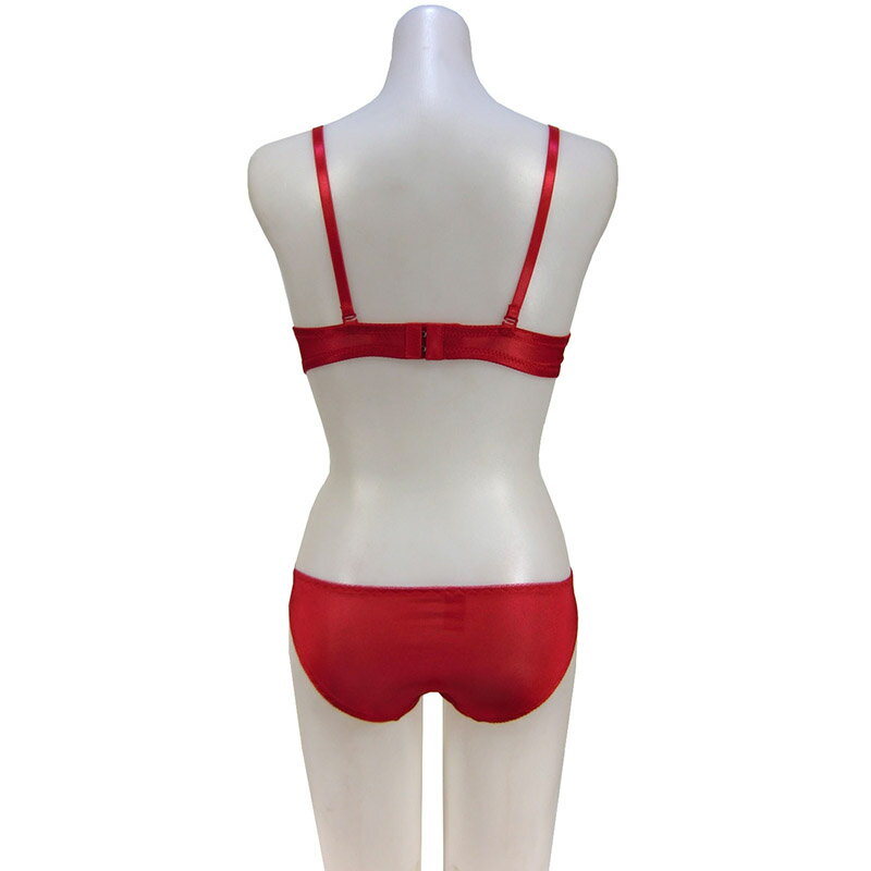 ブラジャー＆ショーツセット (B65 B70 B75 C65 C70 C75 D65 D70 D75) ブラジャー ...
