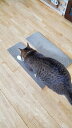 猫段ボール爪とぎ 猫爪とぎ 猫つめとぎ パット用品 パット 爪とぎ つめとぎ 猫 インテリア 段ボール製 オリジナル 猫遊具 ネコ爪とぎ ねこ爪とぎ 日本製 国産 プレゼント 思い出 環境にやさしい 贈り物 猫用品 ねこ用品 ネコ用品 ネコ ねこ 遊具 新生活 おしゃれ(4)