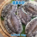 活あわび LLサイズ 1kg 直営 直売 高級 海鮮 生食 不老不死 健康長寿 縁起物 料理 バーベキュー BBQ おつまみ 珍味 酒の肴 贈り物 ギフト お祝い 記念日 誕生日 サプライズ 妊娠 妊婦 赤ちゃん 安産祈願 戌の日 帯祝い