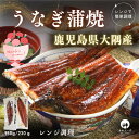 【国内製造】鹿児島 うなぎ 蒲焼き 大隅産 国産 鰻 冷凍 うなぎ蒲焼 1尾 2尾 丑の日 特大 国産うなぎ蒲焼 ウナギ ギフト 冷凍うなぎ ウナギ蒲焼 うなぎ...