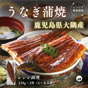 うなぎ ギフト 敬老の日 鹿児島 大隅産 国産 鰻 蒲焼き ウナギ 1尾 2尾 冷凍 うなぎ蒲焼 鰻ギフト 丑の日 特大 国産うなぎ蒲焼 冷凍うなぎ うなぎの蒲...
