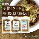 【手作りフード 鹿・猪・鯛 3種セット 2kg小分け袋】国産 無添加 ドッグフード ウェットフード 手作り ごはん トッピング 犬 鹿肉 猪肉 真鯛 100g×20（鹿×8・猪×6・鯛×6）鹿肉 猪肉 真鯛 健康 長生き ドッグフード ウェットフード 犬用 シニア アレルギー