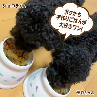 送料無料 北海道 沖縄を除く ウェットフード ドッグフード ベニソン 鹿肉の手作りフード 3kg小分け袋 ごはん 国産 無添加 ドッグフード ウェットフード 手作り ごはん トッピング 犬 鹿肉 100g 30鹿肉 犬 健康 長生き ドッグフード ウェットフード 犬用 シニア 送料無料 北海道 沖縄を除く ウェットフード ドッグフード ベニソン 鹿肉の手作りフード 3kg小分け袋 ごはん 国産 無添加 ドッグフード ウェットフード 手作り ごはん トッピング 犬 鹿肉 100g 30鹿肉 犬 健康 長生き ドッグフード ウェットフード 犬用 シニア