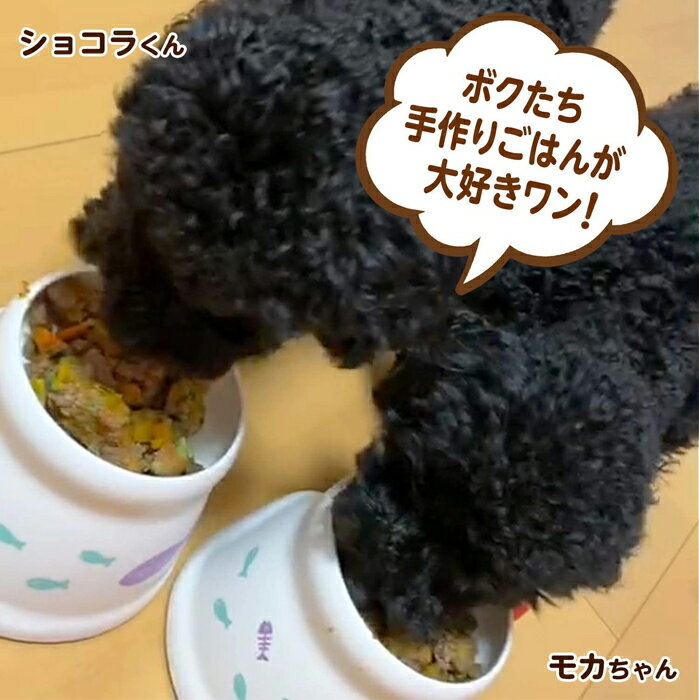 送料無料 北海道 沖縄を除く ウェットフード ドッグフード ベニソン 鹿肉の手作りフード 3kg小分け袋 ごはん 国産 無添加 ドッグフード ウェットフード 手作り ごはん トッピング 犬 鹿肉 100g 30鹿肉 犬 健康 長生き ドッグフード ウェットフード 犬用 シニア