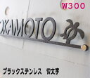 表札 ステンレス アイアン 切文字 戸建て 高級 お洒落 新築 お祝い 看板 店舗 金属 ブラック焼き付け仕上げ W300