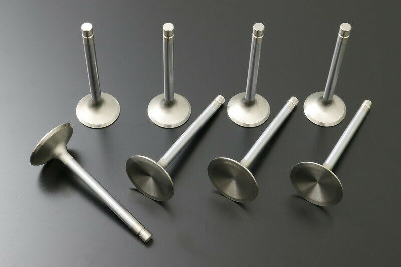 PMC DRAFT ピーエムシー ドラフト Z750-1000ホワイトダイヤモンドバルブ （エキゾースト・オーバーサイ..