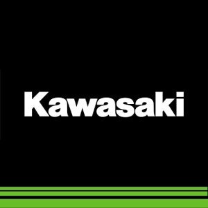 KAWASAKI Z900RS 純正 フロントフェンダー(ブレーキホース)クランプ ,LH
