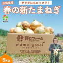 【送料無料】春の新たま5kg 淡路島産 すぐ届く 淡路島たまねぎ 玉ねぎ タマネギ オニオンスライス スープ オニオン 人気 大玉 5kg 野口ファーム 産地直送 まとめ買い お徳用 お土産