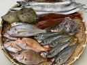 淡路島昼網鮮魚セット5種 詰め合わせ 鮮魚ボックス 魚介セット 鮮魚セット 鮮魚 魚介 淡路 淡路島