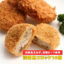 送料無料!淡路島コロッケ10個 淡路ビーフ 玉ねぎ 淡路島