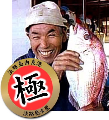 【漁港直送 お刺身用】淡路島由良産活締め極上天然桜鯛約900〜1kg