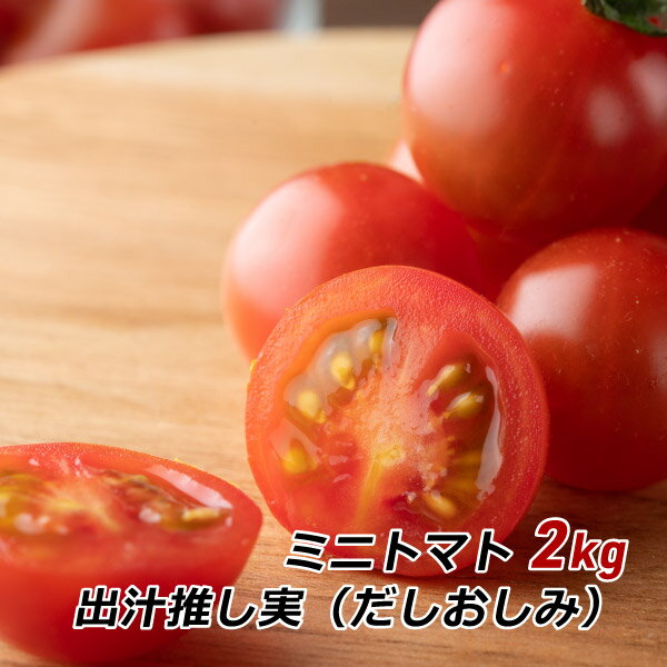 皮が薄い 旨味 甘い グルタミン酸 ビタミンC ミニトマト 出汁推し実 2kg 渥美半島とまとランド だしおしみ 濃厚 田原市 お取り寄せ 産地直送 送料無料