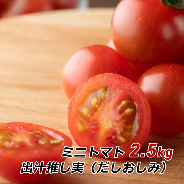 皮が薄い 旨味 甘い グルタミン酸 ビタミンC ミニトマト 出汁推し実 2.5kg 渥美半島とまとランド だしおしみ 濃厚 田原市 お取り寄せ 産地直送 送料無料