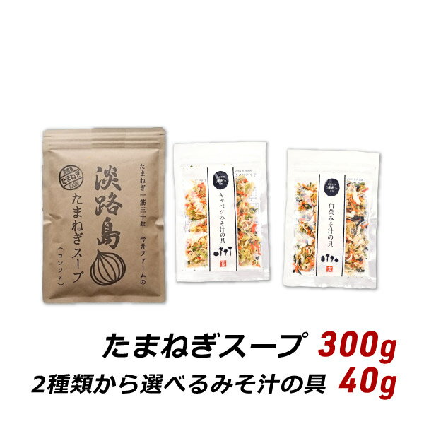 たまねぎスープ 300g+選べるみそ汁の具セット 国産 乾燥野菜 味噌汁の具 みそ汁の具 マエカワテイスト 吉良食品 送料無料