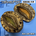 活蝦夷あわび 70g～80g　1枚[あわび]