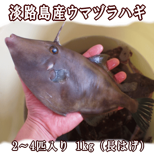 薄味カワハギの煮付け レシピ 作り方 By ここなっつん 楽天レシピ 薄味カワハギの煮付け レシピ 作り方 By ここなっつん 楽天レシピ