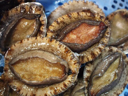 黒あわびの旬の時期や美味しい食べ方 産地や値段は 白アワビ 赤アワビとの違いは 蝦夷アワビと黒アワビにも違いはある 各アワビの値段も比較 有給の使い方 黒あわびの旬の時期や美味しい食べ方 産地や値段は 白アワビ 赤アワビとの違いは 蝦夷アワビと黒アワビにも違いはある 各アワビの値段も比較 有給の使い方